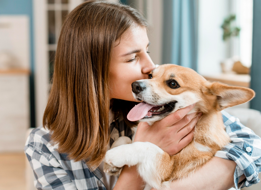 Featured image for “SEO for Pet Care Brands”