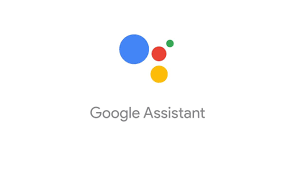 Google Voice Assistant