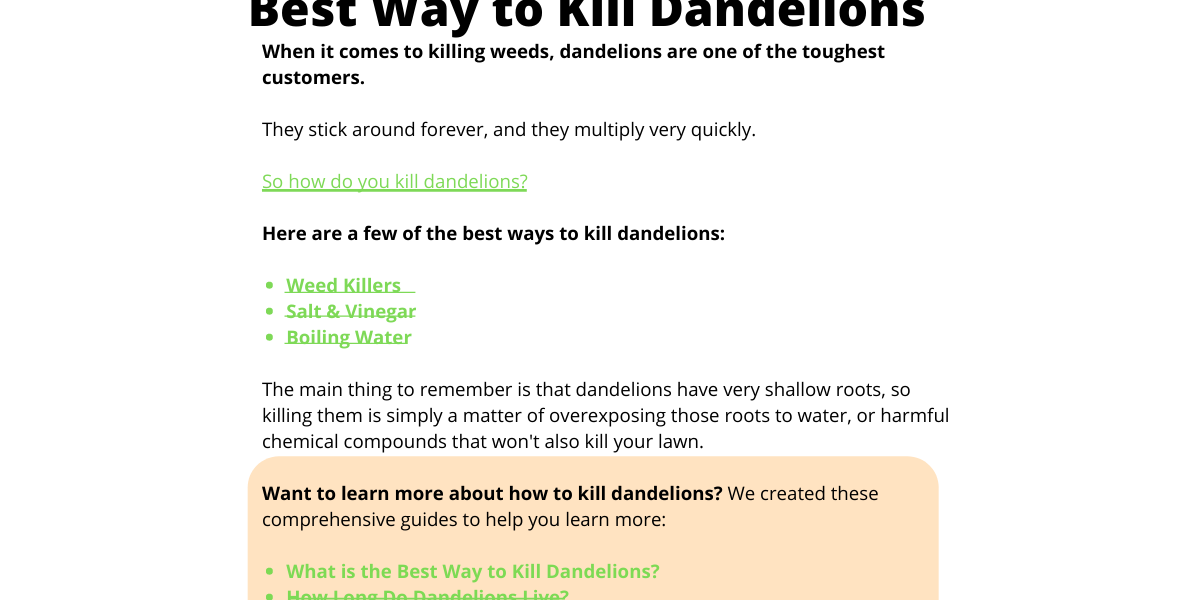 Good-internal-linking-example-seo