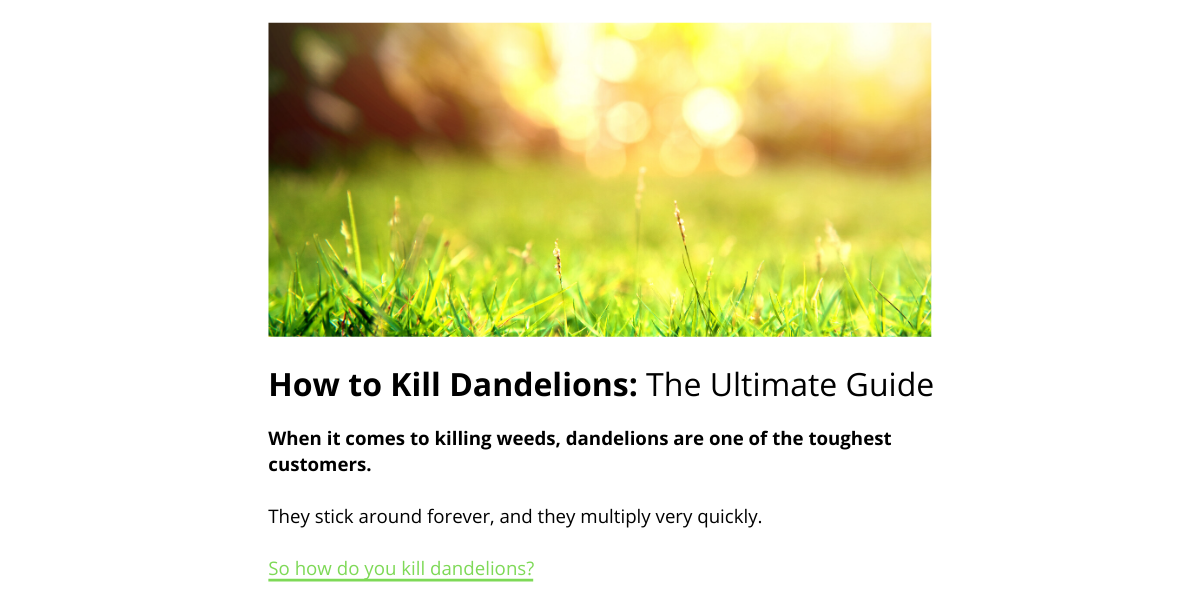 how-to-kill-dandelions-ultimate-guide-bad