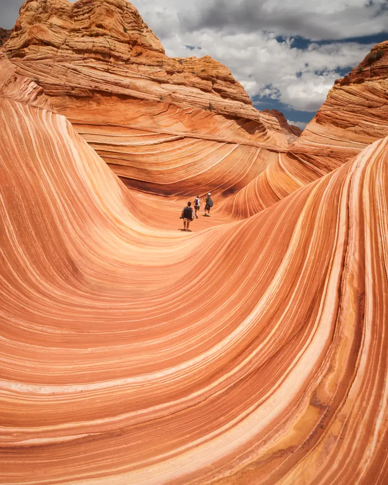 Swirling orange sandstone layers of The Wave canyon
