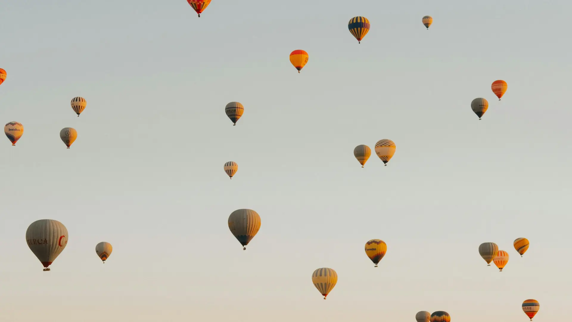 Hot air balloons rising into a pale sunrise sky