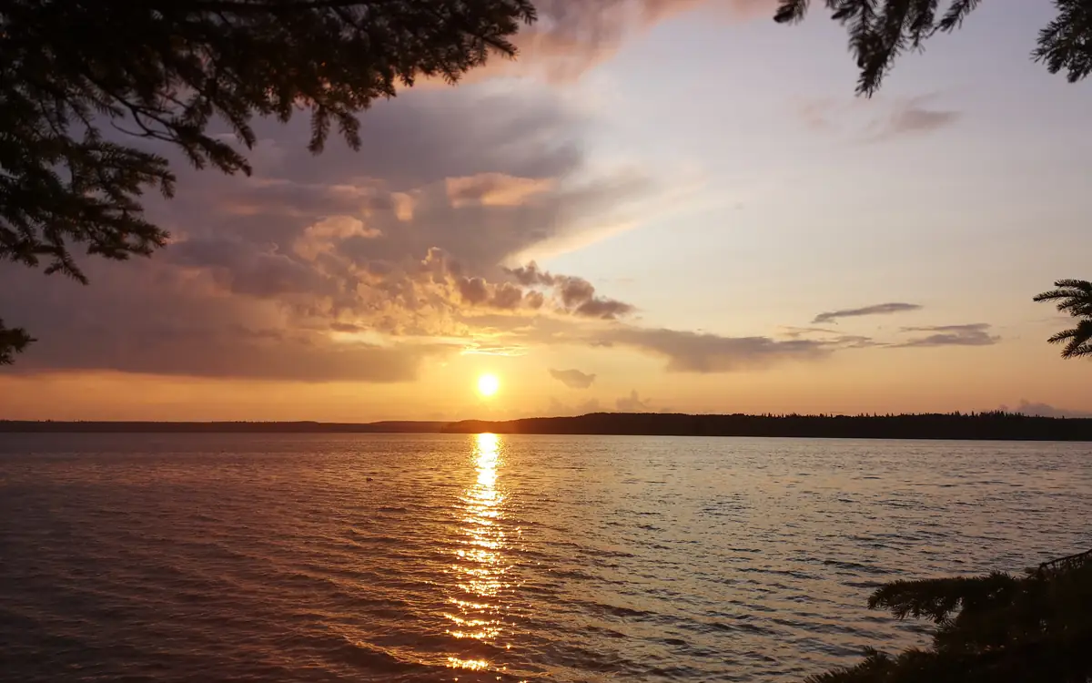 The sun setting over a calm lake framed by pine branches